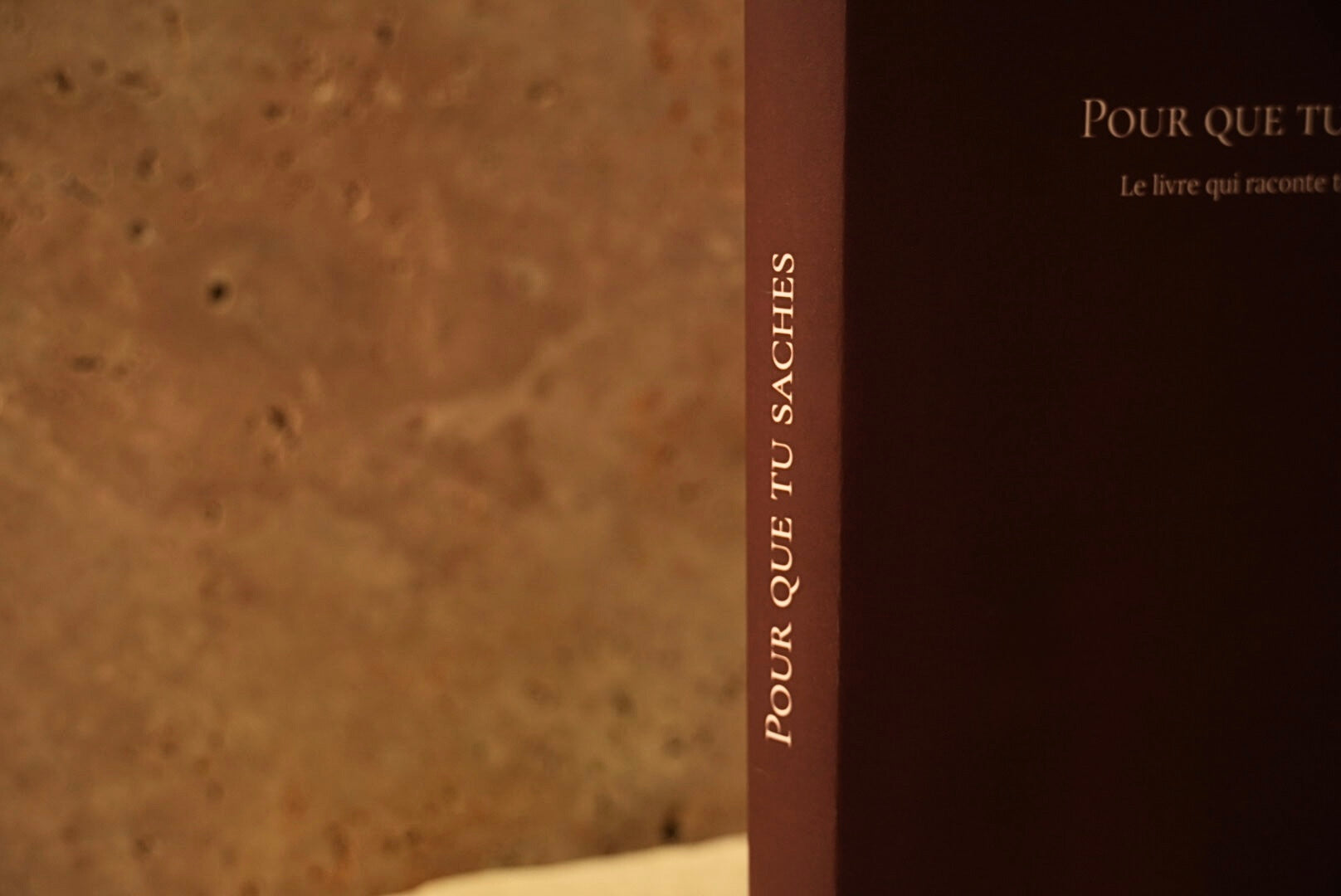 Le livre - Terre d’Ombre.