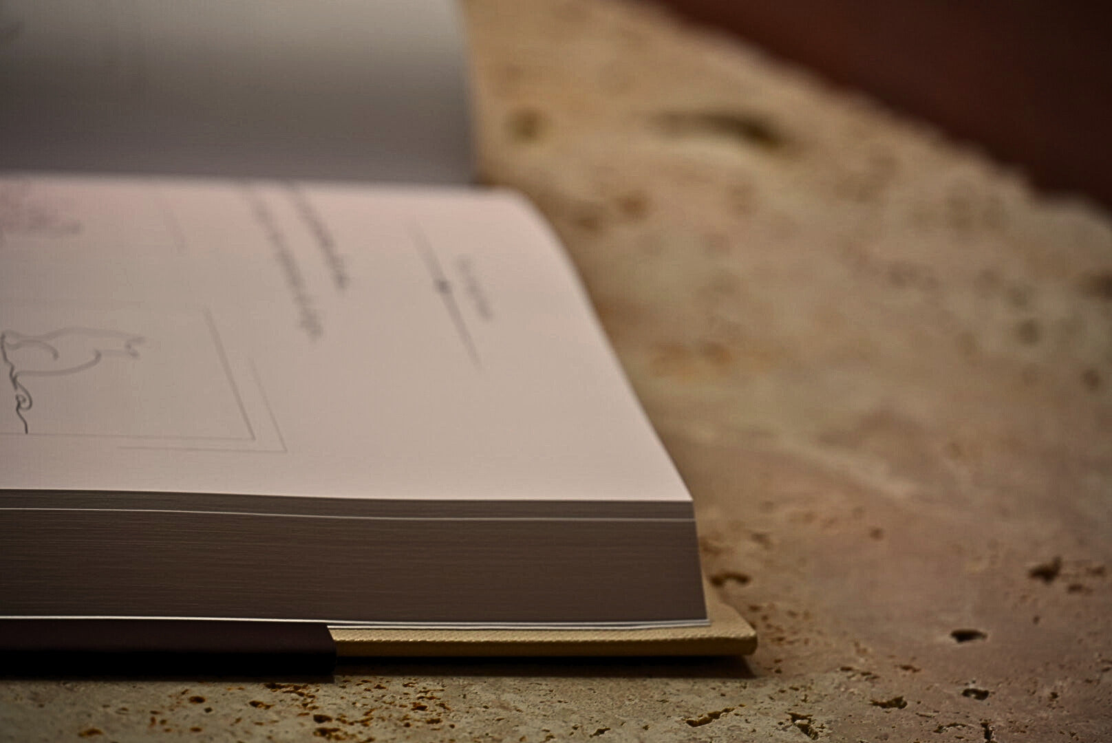 Le livre - Terre d’Ombre.