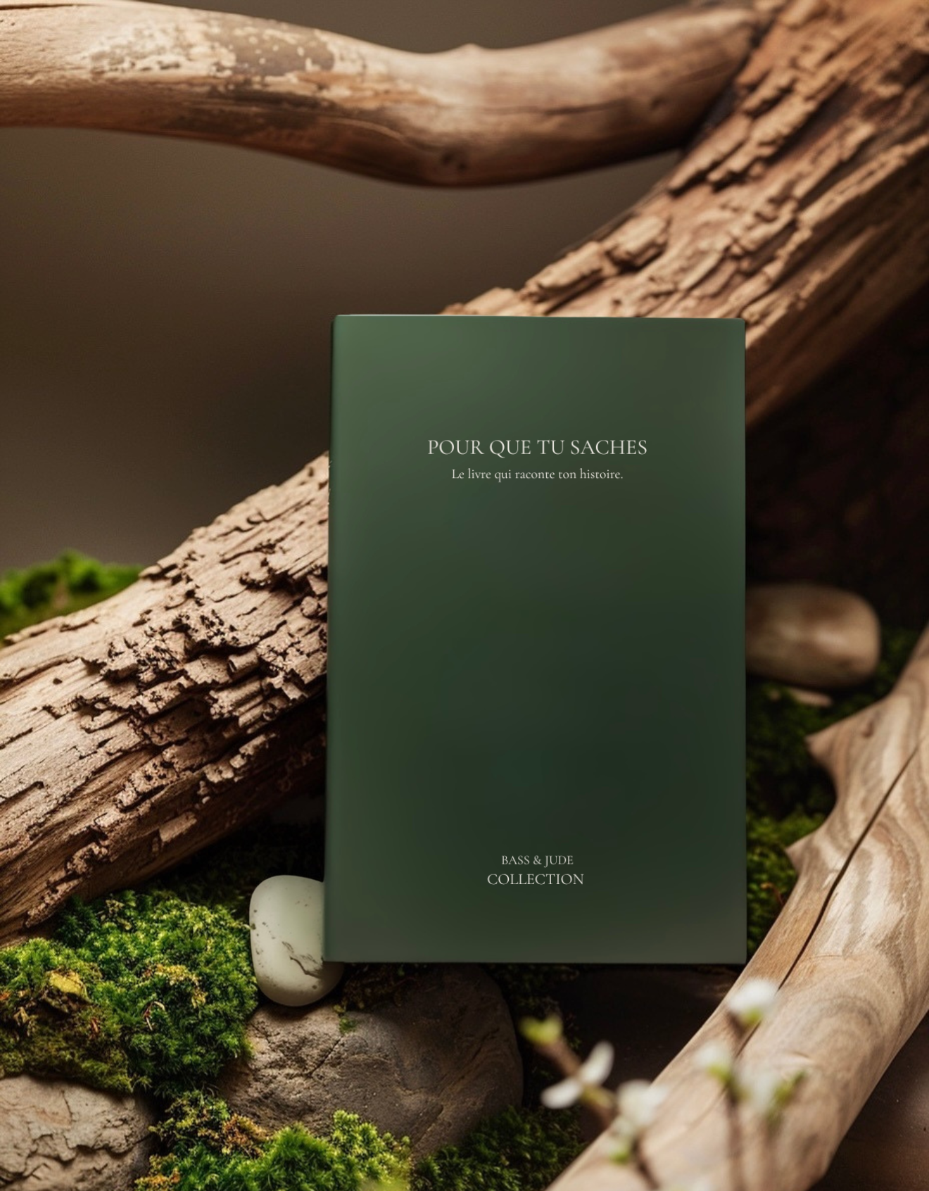 Le livre - Vert Sapin