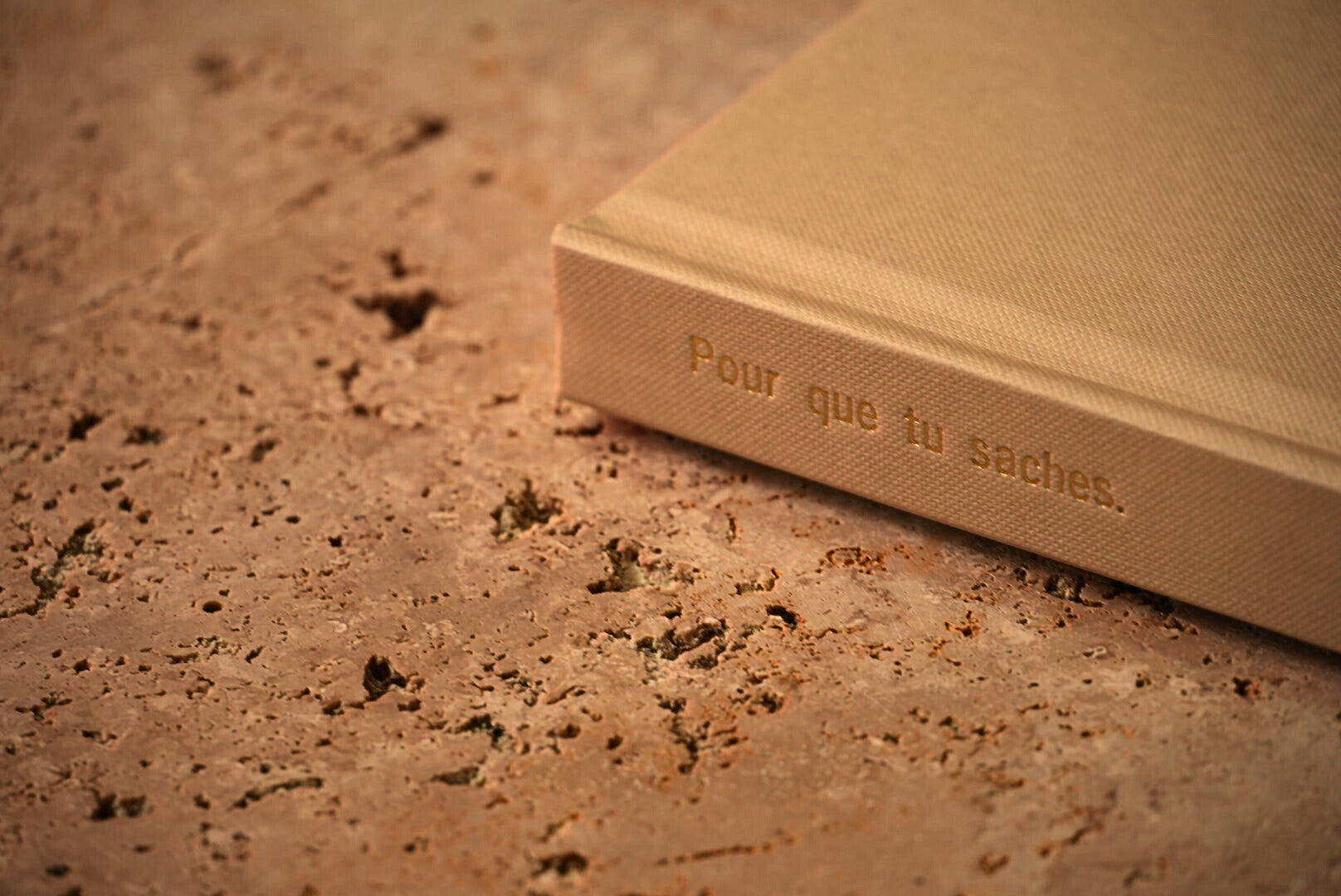 Le livre - Terre d’Ombre.